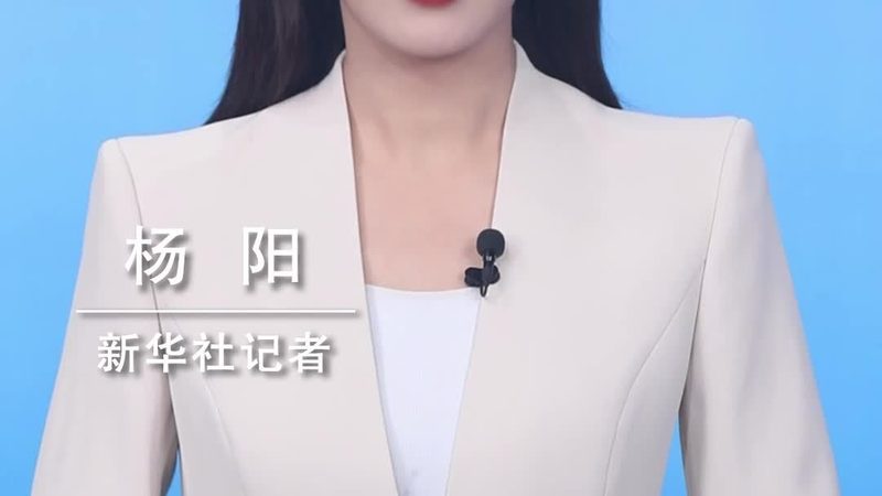 数据治理与安全合规：企业数据安全的双重防线